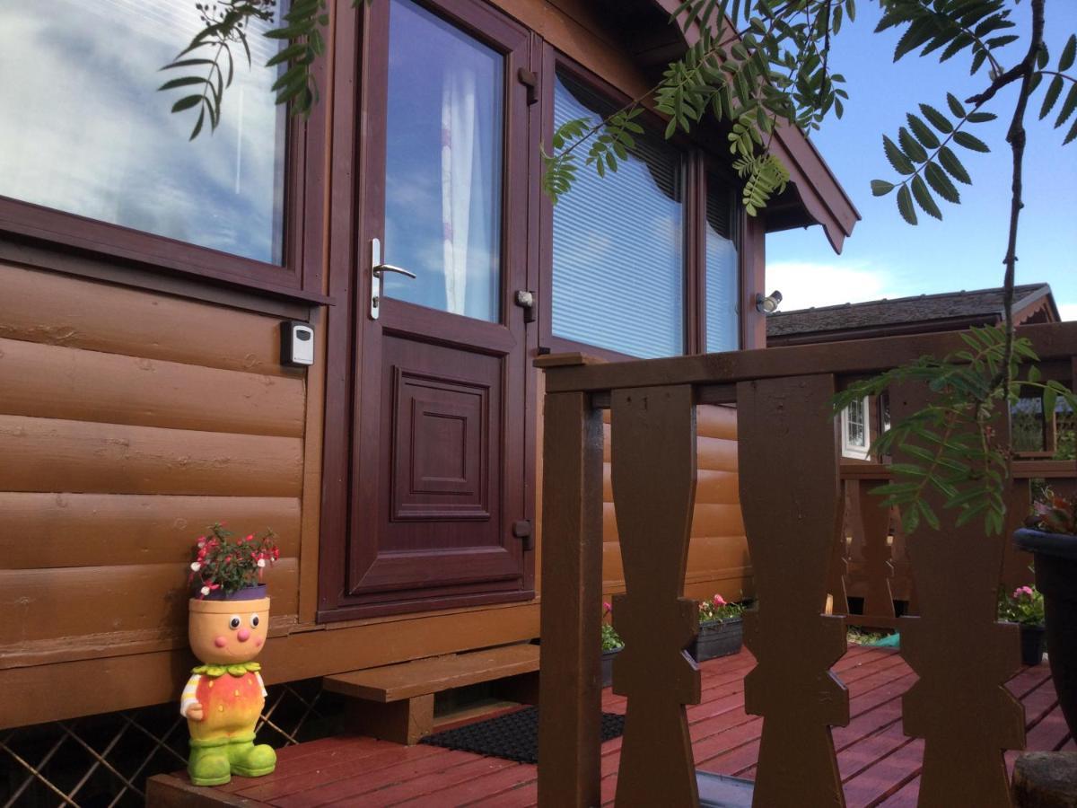 Snowdonia National Park Log Cabin With Garden Trawsfynydd Buitenkant foto