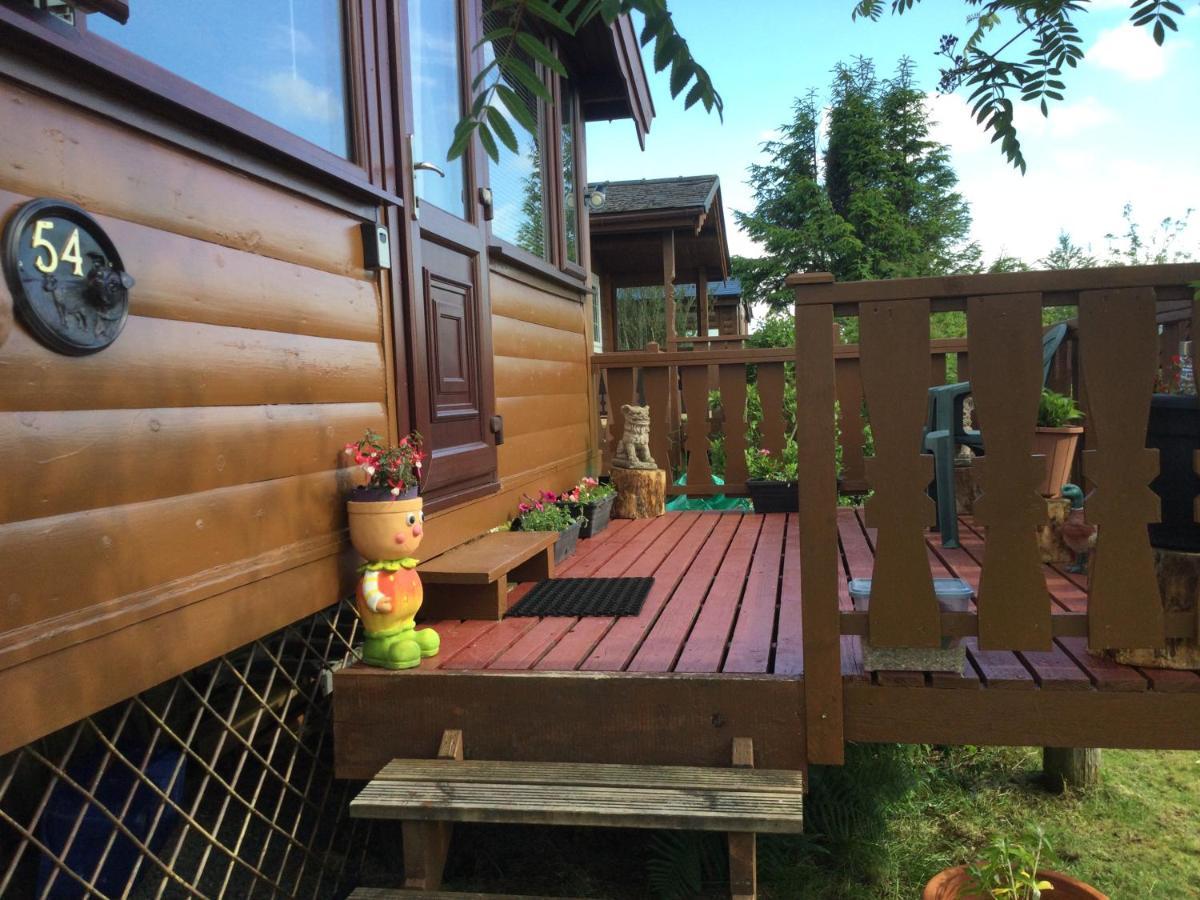 Snowdonia National Park Log Cabin With Garden Trawsfynydd Buitenkant foto