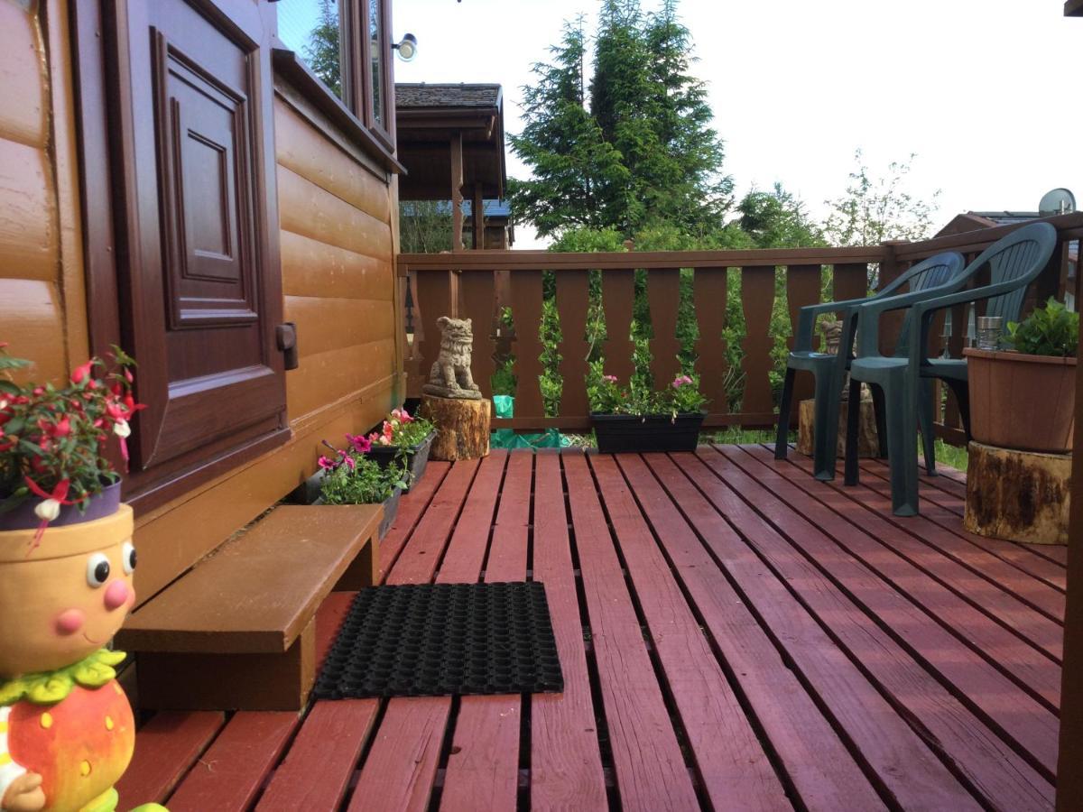 Snowdonia National Park Log Cabin With Garden Trawsfynydd Buitenkant foto