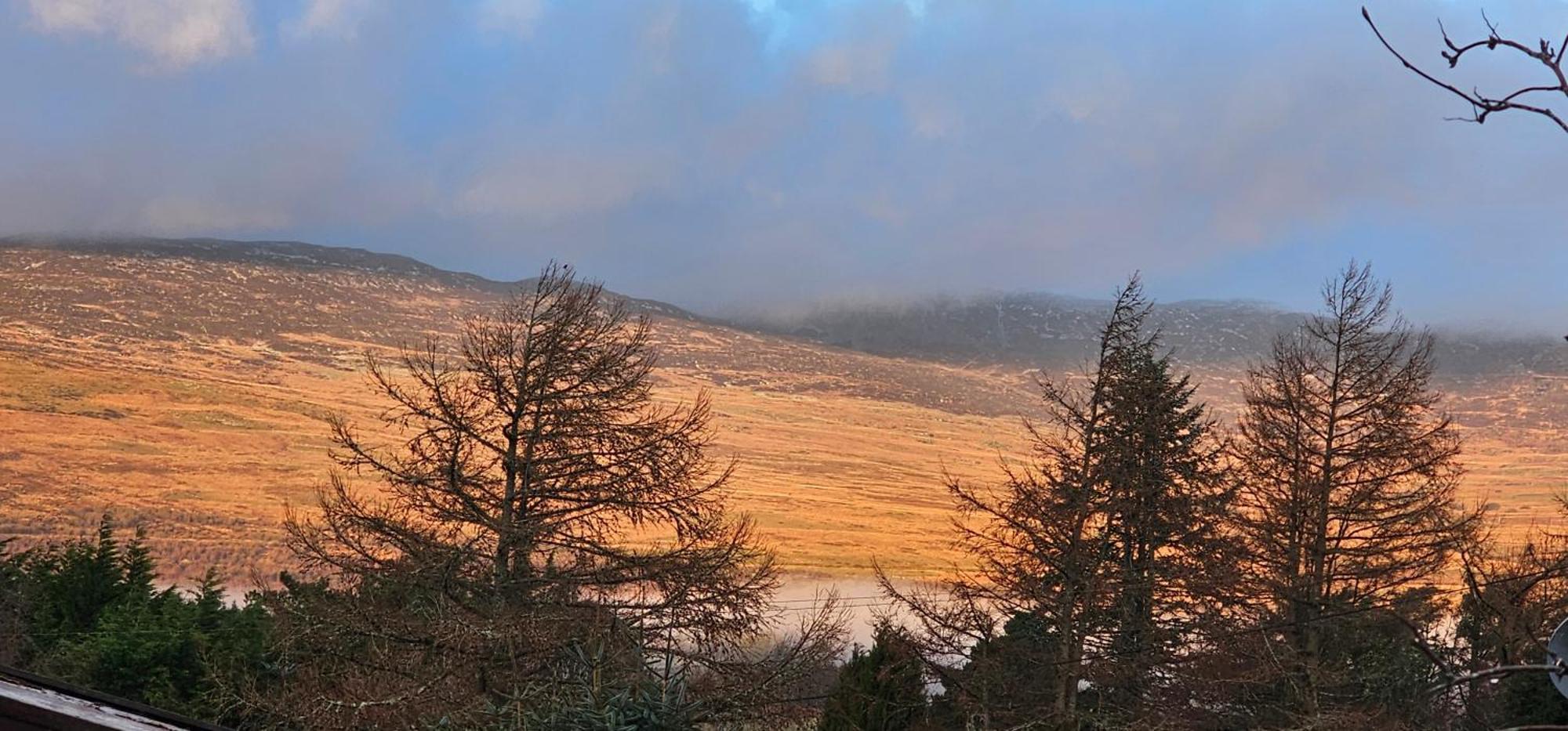 Snowdonia National Park Log Cabin With Garden Trawsfynydd Buitenkant foto